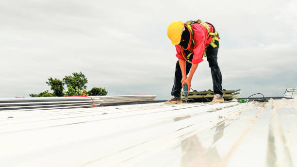 Professional Roof Repair & Installaion in West Hamburg, PA